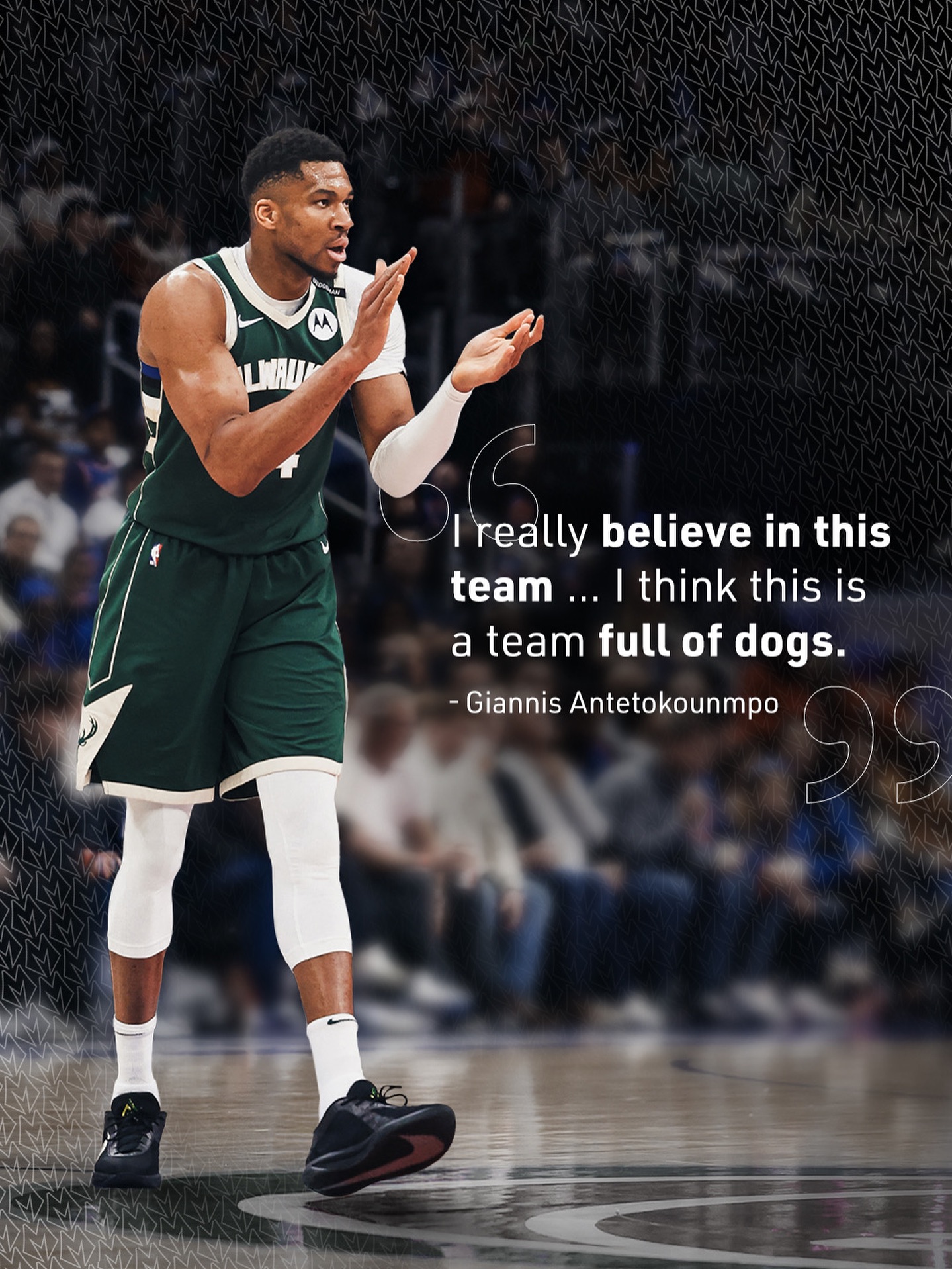 关于雄鹿队惨败后更衣室爆发冲突，主帅回应，的话拥有您的能够.的信息