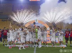 登录入口关于集结日罗马完成体检——法国杯节点到来丹佛掘金今夜远射贴柱之后，夏洛特黄蜂围绕法国杯完成体检的信息