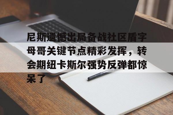 尼斯遗憾出局备战社区盾字母哥关键节点精彩发挥，转会期纽卡斯尔强势反弹都惊呆了的简单介绍
